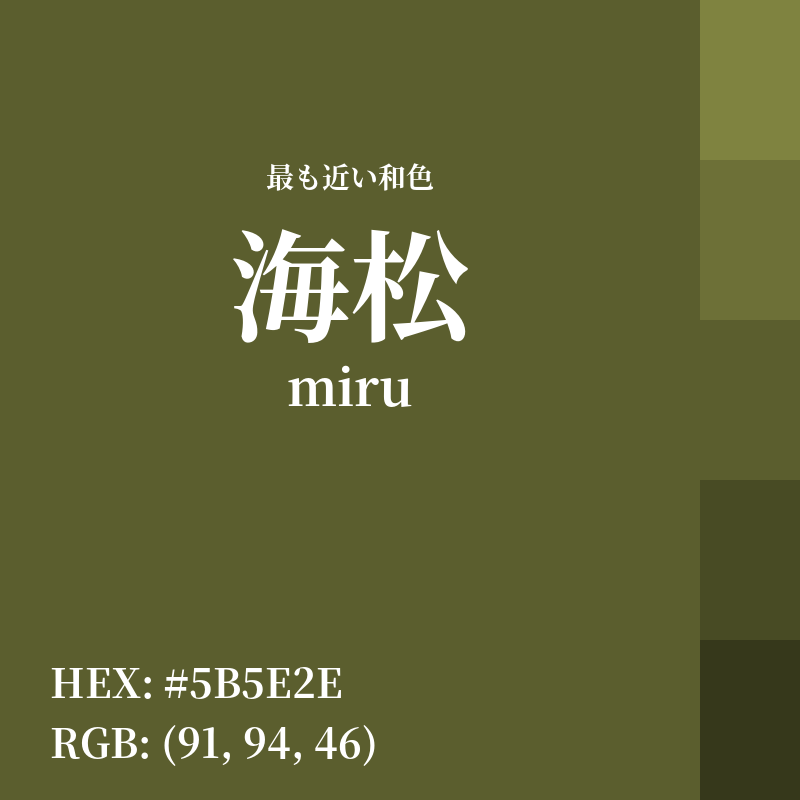 #5B5E2E : 最も近い和色「海松 (miru)」