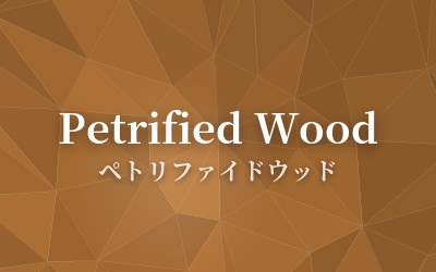 Petrified Wood - ペトリファイドウッド