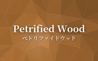 Petrified Wood - ペトリファイドウッド