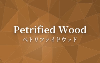 Petrified Wood - ペトリファイドウッド